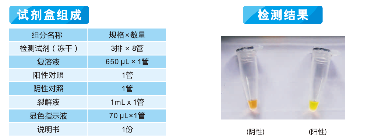 食品中致病菌恒溫擴(kuò)增熒光法LAMP法···