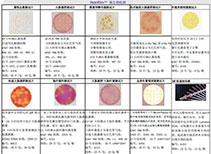 3M快速測(cè)試紙片/微生物測(cè)試片